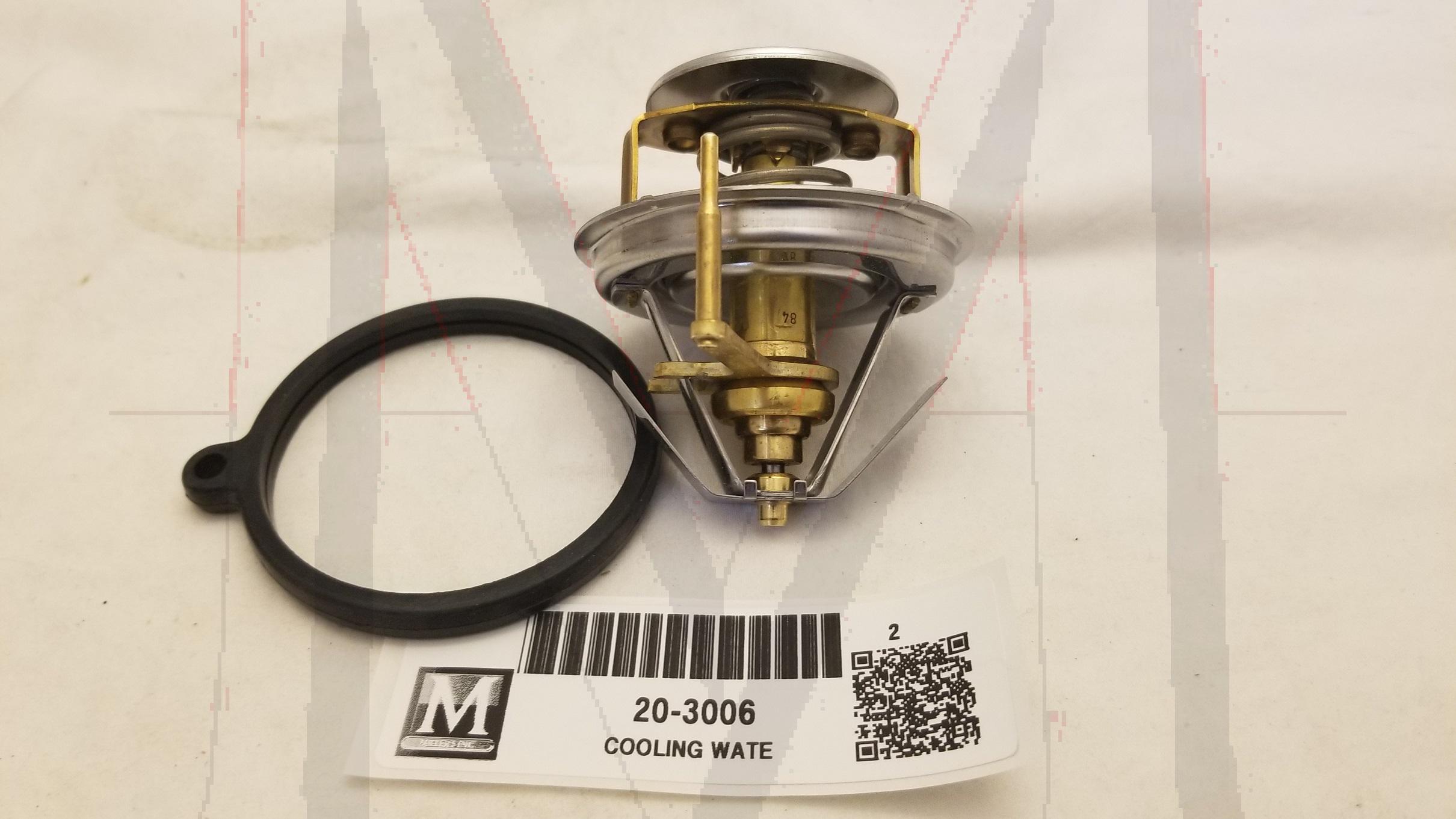 THERMOSTAT W/ SEAL