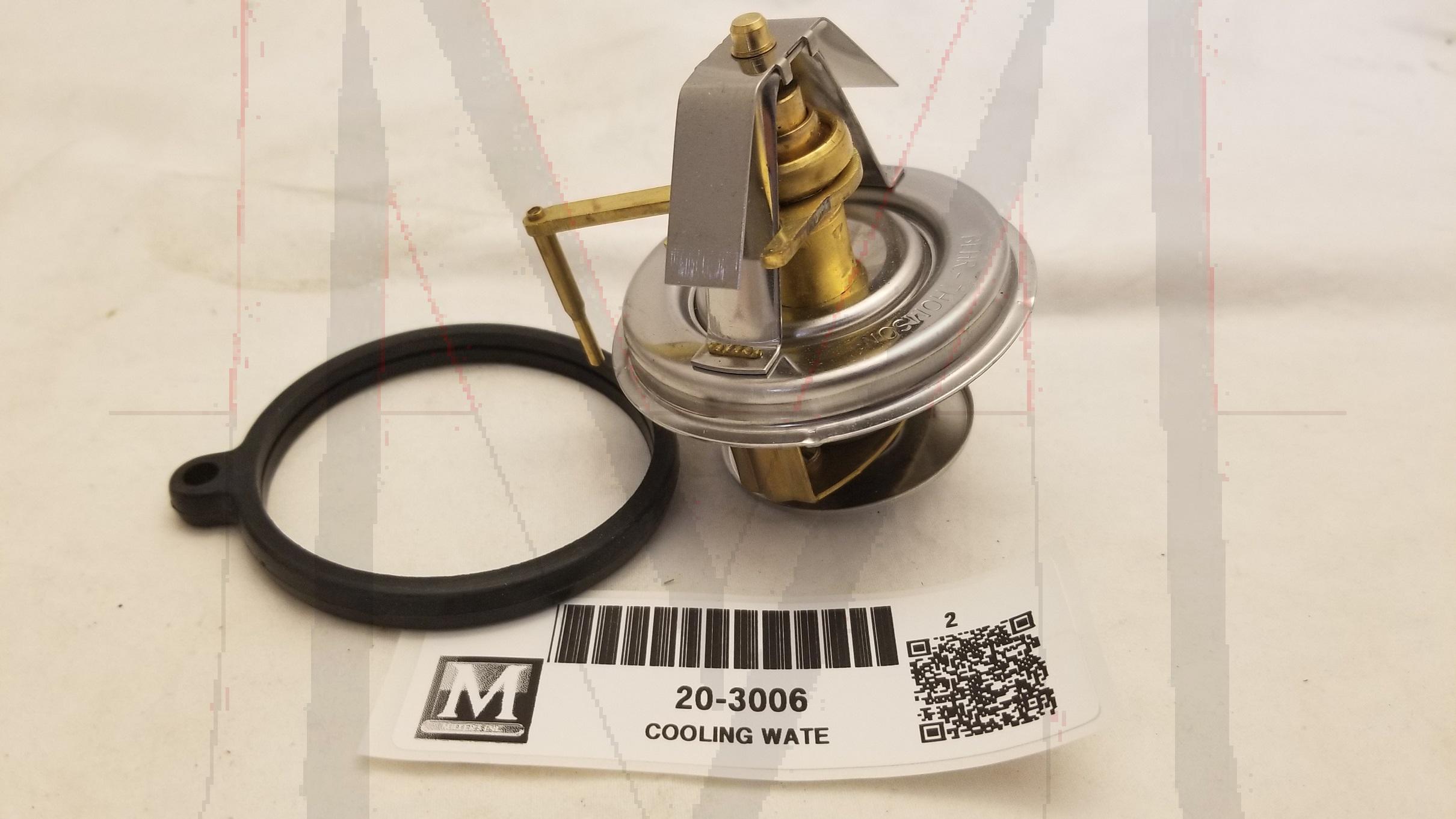 THERMOSTAT W/ SEAL